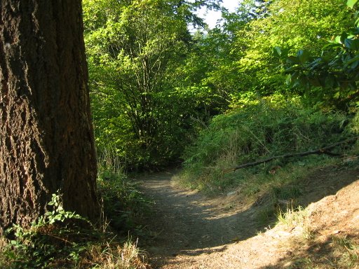 [Location 30 looking north]