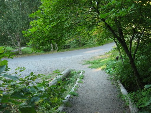 [Location 31 looking north]