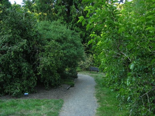 [Location 33 looking north]
