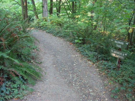 [Location 34 looking north]
