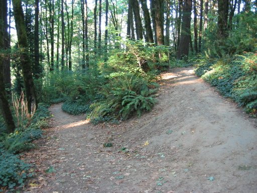 [Location 36 looking north]
