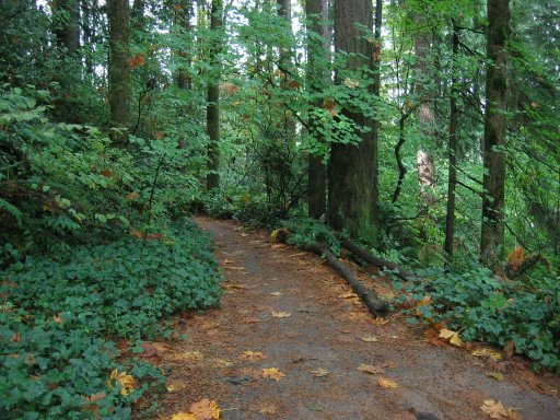 [Location 37 looking north]