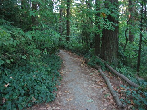 [Location 38 looking north]