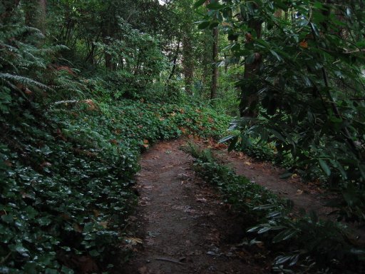 [Location 47 looking north]