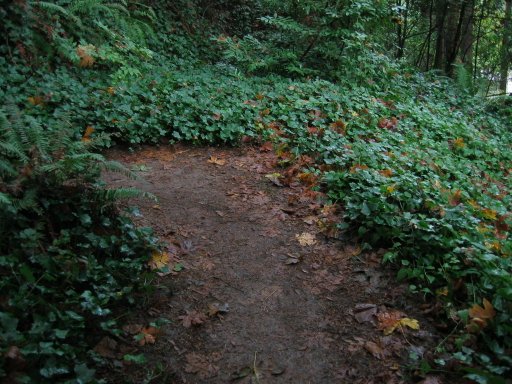 [Location 48 looking north]