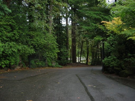 [Location 50 looking north]