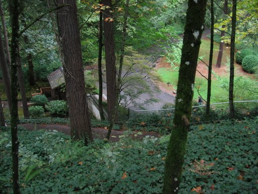 [Location 54 looking north]