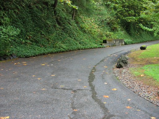 [Location 59 looking north]
