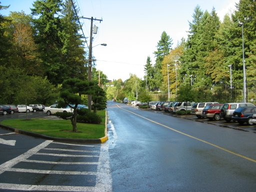 [Location 60 looking north]