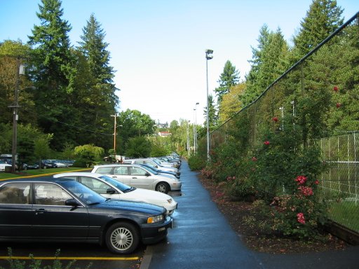 [Location 61 looking north]