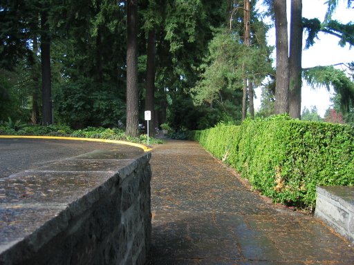 [Location 64 looking north]