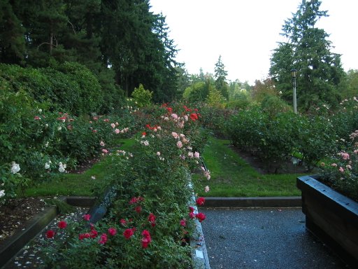 [Location 65 looking north]