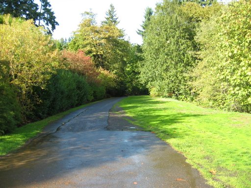 [Location 70 looking north]