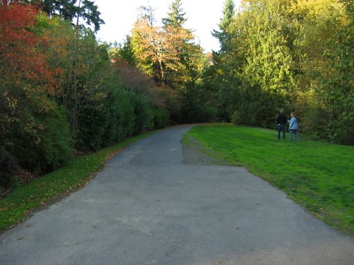 [Location 70b looking north]