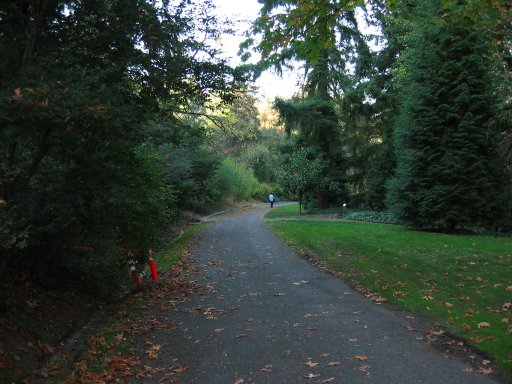 [Location 71b looking north]