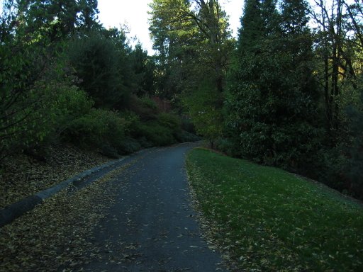[Location 72 looking north]