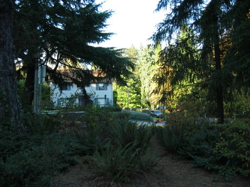 [Location 73 looking north]