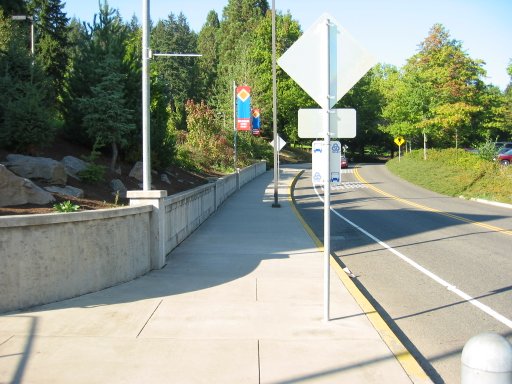 [Location 9 looking north]