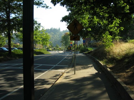 [Location 10 looking south]