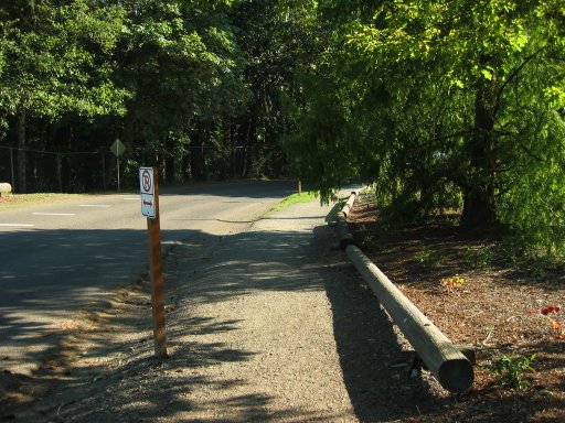 [Location 12 looking south]
