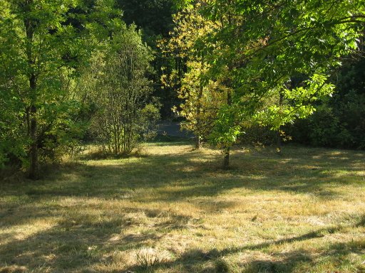 [Location 15 looking south]