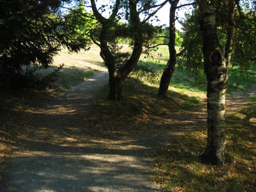 [Location 16 looking south]
