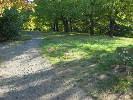 [Location 17 looking south]