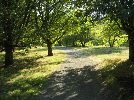 [Location 18 looking south]