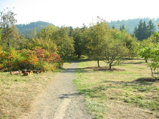 [Location 19 looking south]