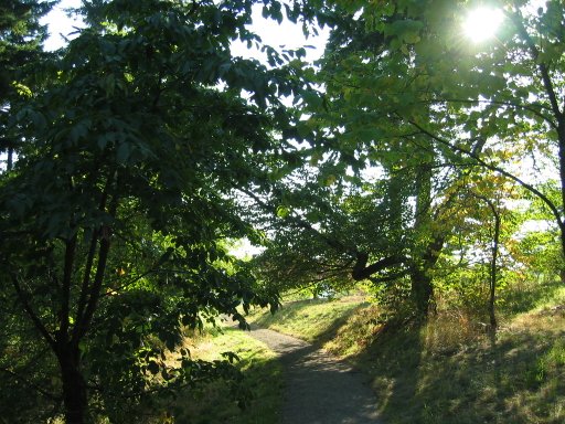 [Location 21 looking south]