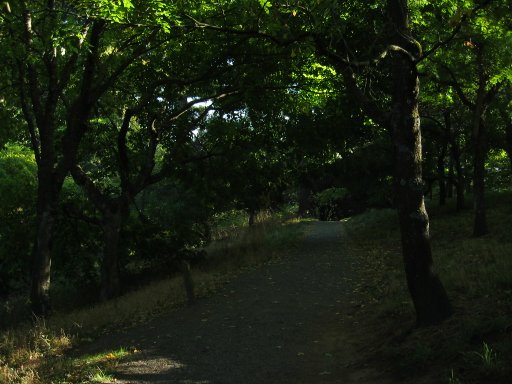 [Location 22 looking south]