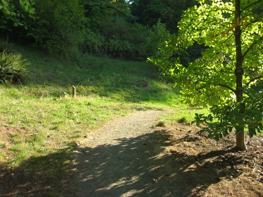 [Location 29 looking south]