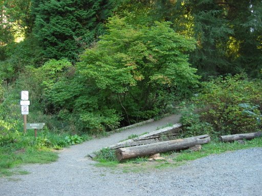 [Location 32 looking south]