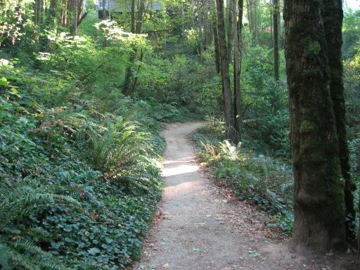 [Location 36 looking south]