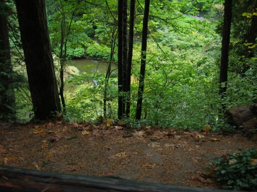 [Location 37 looking south]
