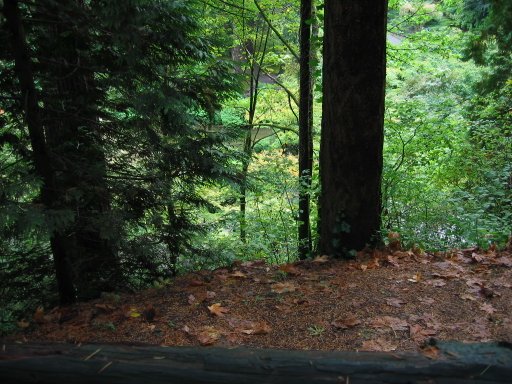 [Location 37l looking south]