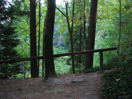 [Location 38 looking south]