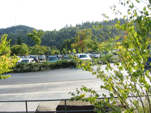 [Location 41 looking south]