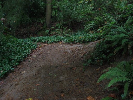 [Location 47 looking south]