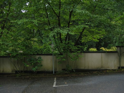 [Location 51 looking south]