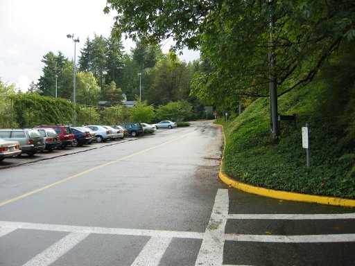 [Location 60 looking south]
