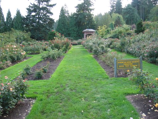 [Location 67 looking south]