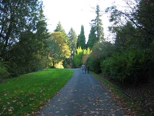 [Location 71b looking south]