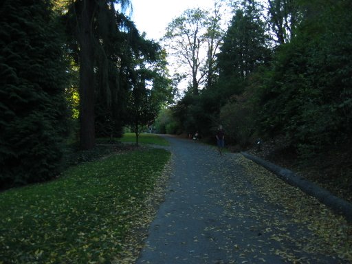 [Location 72 looking south]