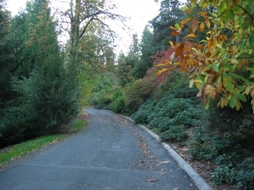 [Location 73 looking south]