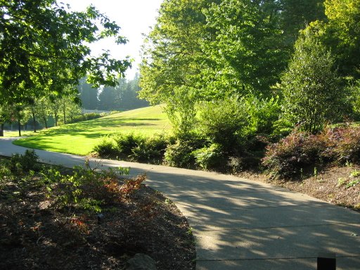 [Location 11 looking west]