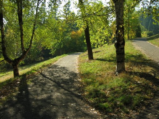 [Location 16 looking west]