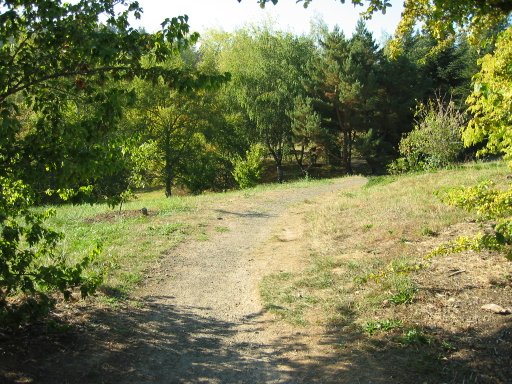 [Location 17 looking west]