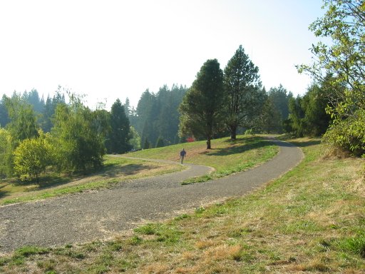 [Location 19 looking west]