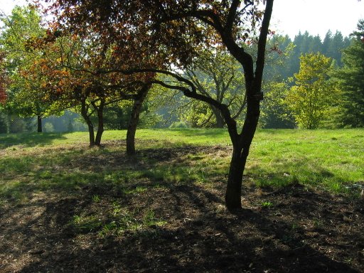 [Location 20 looking west]
